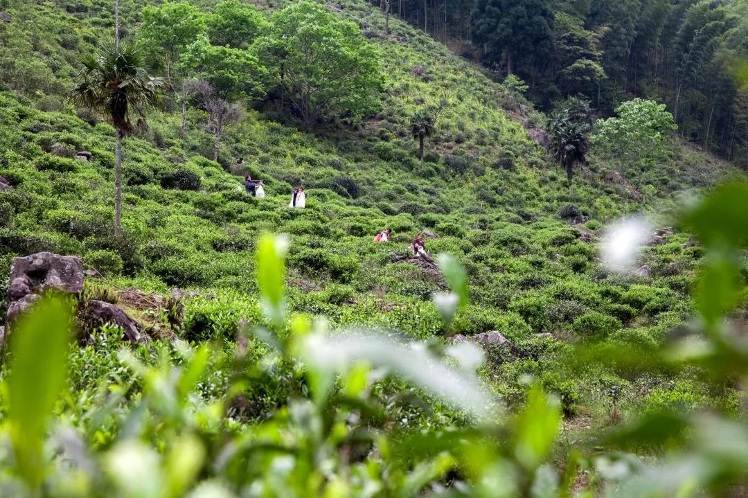 7c04aa29741398b58cb1e434ca32a7eb.jpg 7c04aa29741398b58cb1e434ca32a7eb.jpg