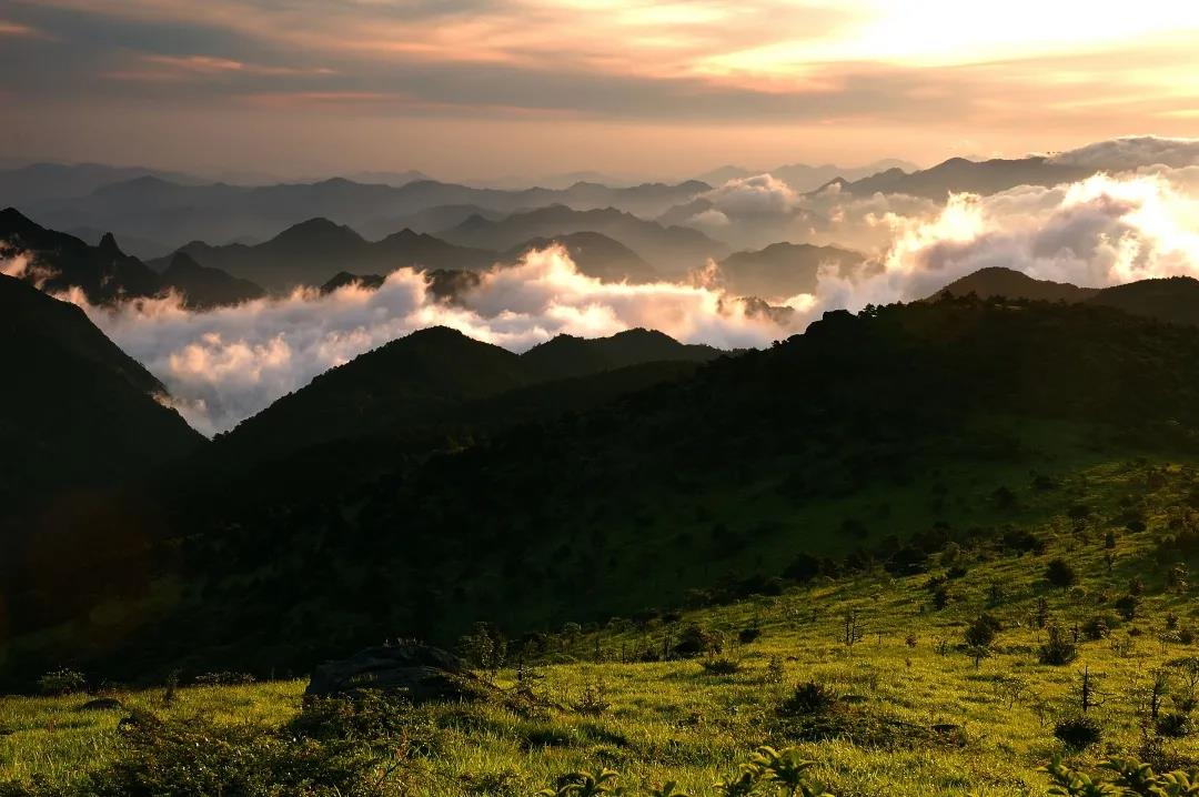 c876537ec20ae31384f25bcbc4f45ef7.jpg c876537ec20ae31384f25bcbc4f45ef7.jpg