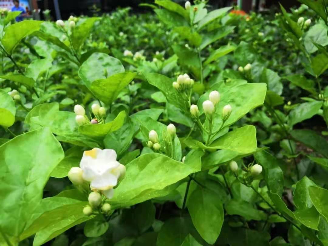 aecfe9b5fbae31fc5d3c88f42f7b3d72.jpg aecfe9b5fbae31fc5d3c88f42f7b3d72.jpg