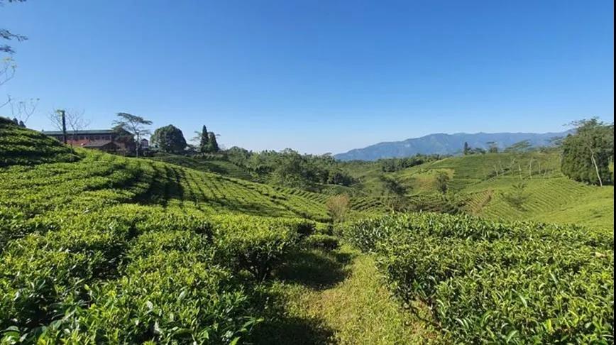 520cae14c1f841bf6fea875b9de7c83d.jpg 520cae14c1f841bf6fea875b9de7c83d.jpg