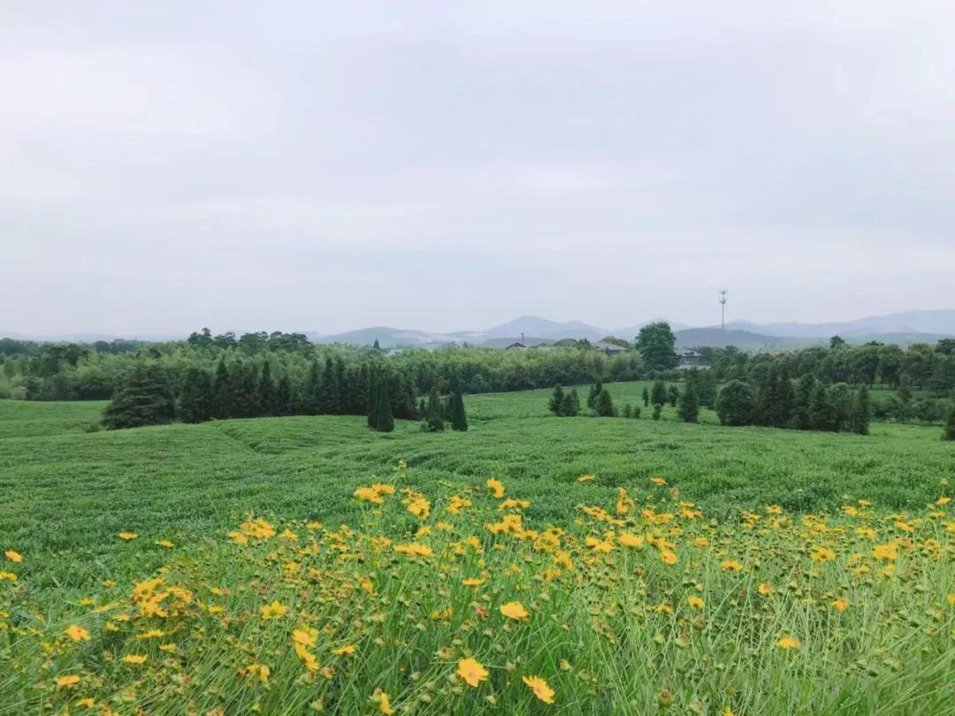 119c885a592211893936630f4b1c4276.jpg 119c885a592211893936630f4b1c4276.jpg