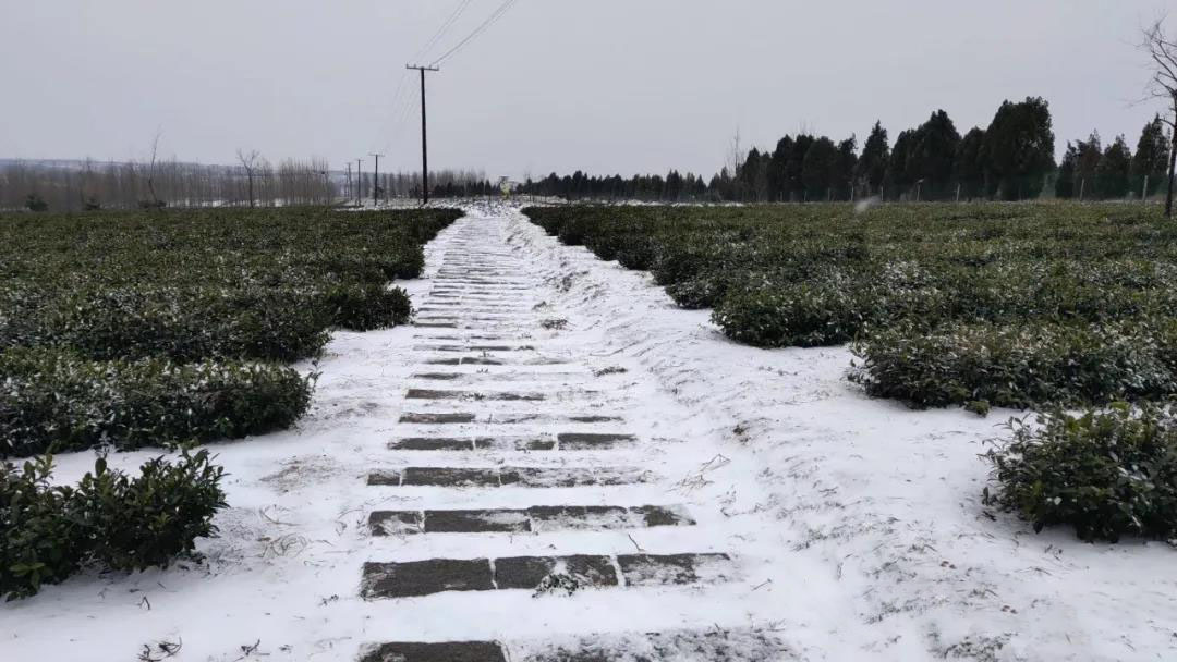 381505838e39bcac7655f445cff56cc3.jpg 381505838e39bcac7655f445cff56cc3.jpg