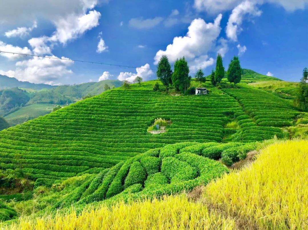 5f03d5e079d8c4f8c2aa89a568e4bd75.jpg 5f03d5e079d8c4f8c2aa89a568e4bd75.jpg