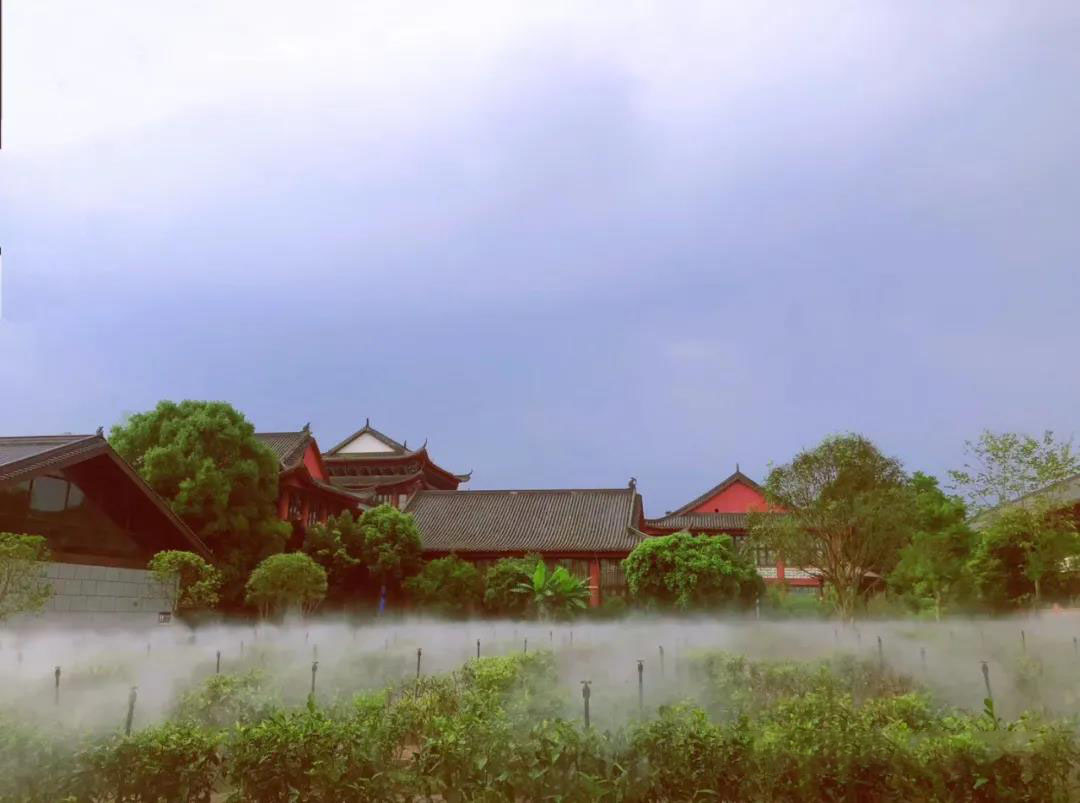 8446629268bd39cb9371051334f95509.jpg 8446629268bd39cb9371051334f95509.jpg