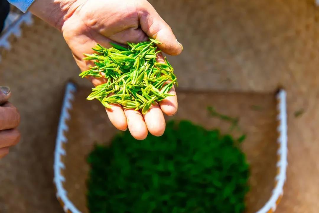 858b312689c2ed2a947e6a4d693e9e97.jpg 858b312689c2ed2a947e6a4d693e9e97.jpg