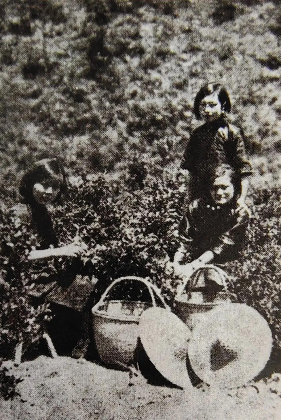 fcdd901931a18c8431336fe3c73d751b.jpg fcdd901931a18c8431336fe3c73d751b.jpg