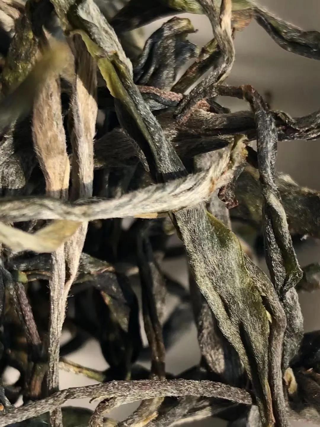 0f091aac1042c37f5a6e47de1e400b85.jpg 0f091aac1042c37f5a6e47de1e400b85.jpg