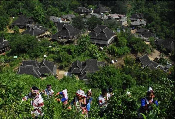 331d8ed3b9c0480f304ed9646b2e8bf2.jpg 331d8ed3b9c0480f304ed9646b2e8bf2.jpg