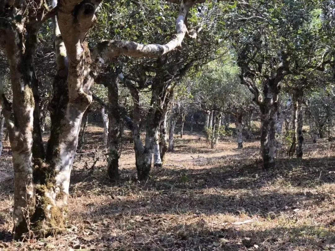 7bc76f09649ae1723b0eb8656a3daa62.jpg 7bc76f09649ae1723b0eb8656a3daa62.jpg