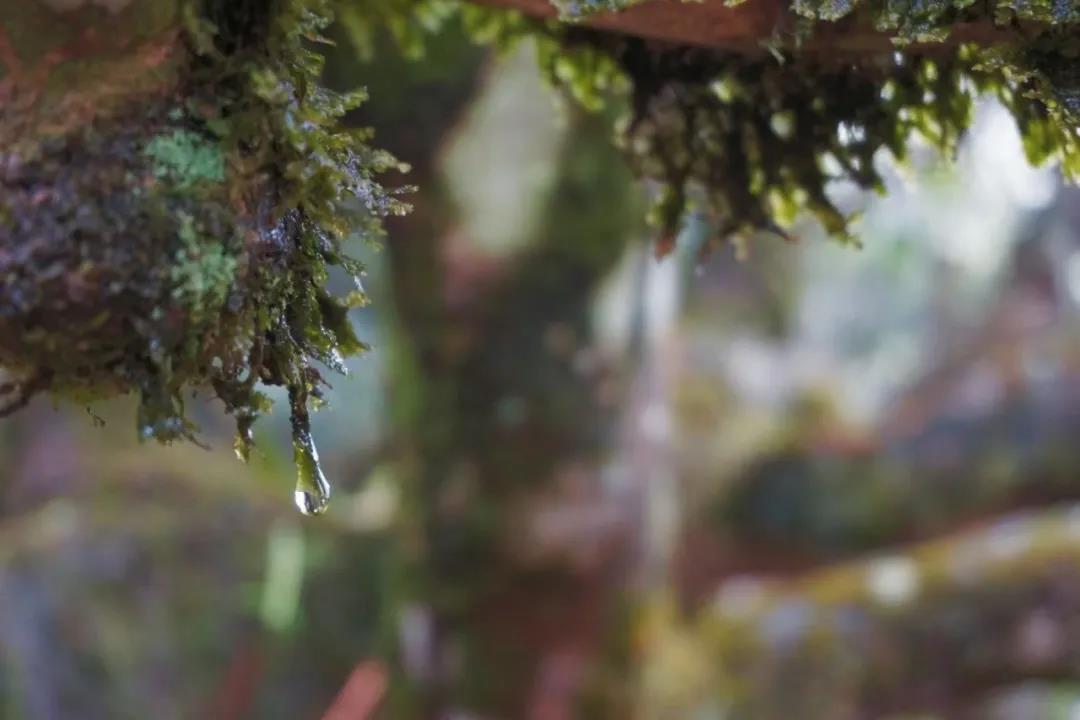 98c08987057170a7f525615600fb4151.jpg 98c08987057170a7f525615600fb4151.jpg