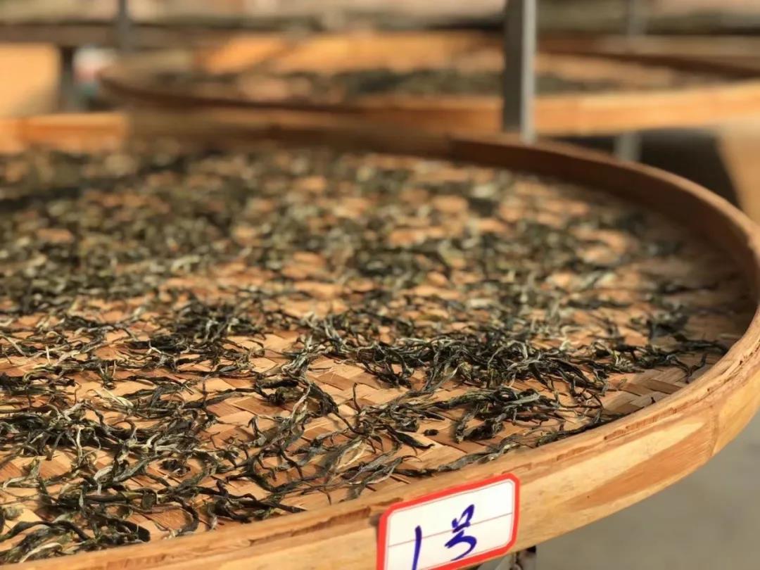 af979f1b0a8562ca3e55eeb836e467cf.jpg af979f1b0a8562ca3e55eeb836e467cf.jpg