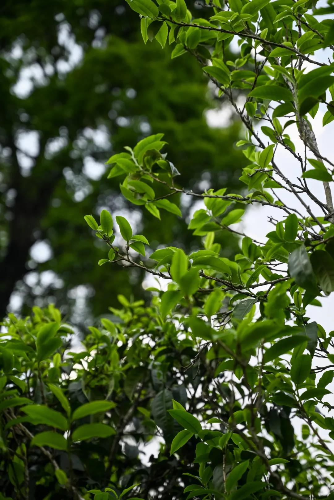 e13454ef9e226d19e80285352ff49a27.jpg e13454ef9e226d19e80285352ff49a27.jpg