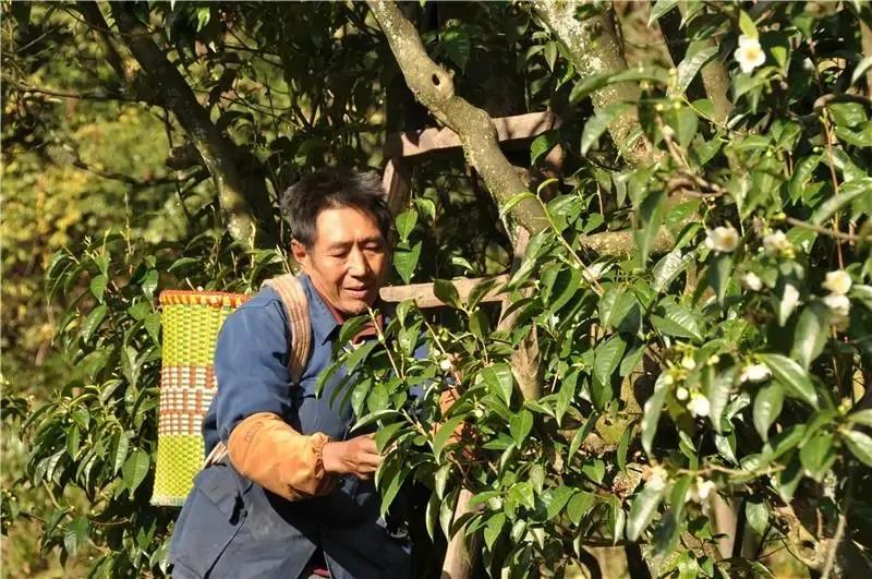 680106b4d0614eec5bb300e992b098ba.jpg 680106b4d0614eec5bb300e992b098ba.jpg