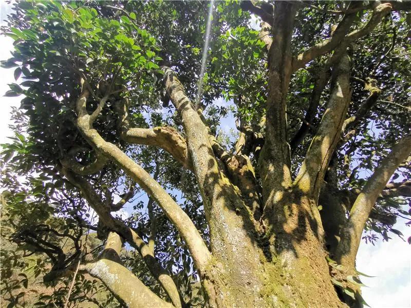 9d362bfba143fb36b1e97d19deb51cca.jpg 9d362bfba143fb36b1e97d19deb51cca.jpg