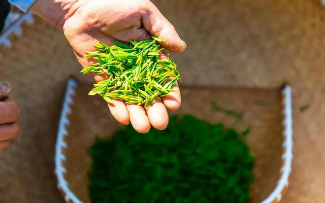 19b544369651668383926577d300c691.jpg 19b544369651668383926577d300c691.jpg