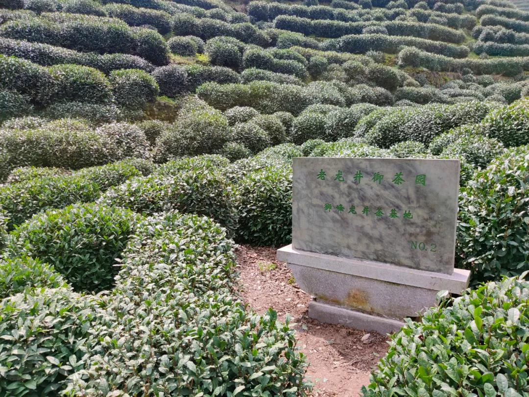 564fb8f4f1c34aaf5518e886888df9d1.jpg 564fb8f4f1c34aaf5518e886888df9d1.jpg