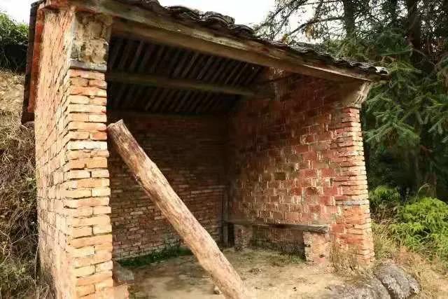 072794b437fa1469920a2828f7648146.jpg 072794b437fa1469920a2828f7648146.jpg