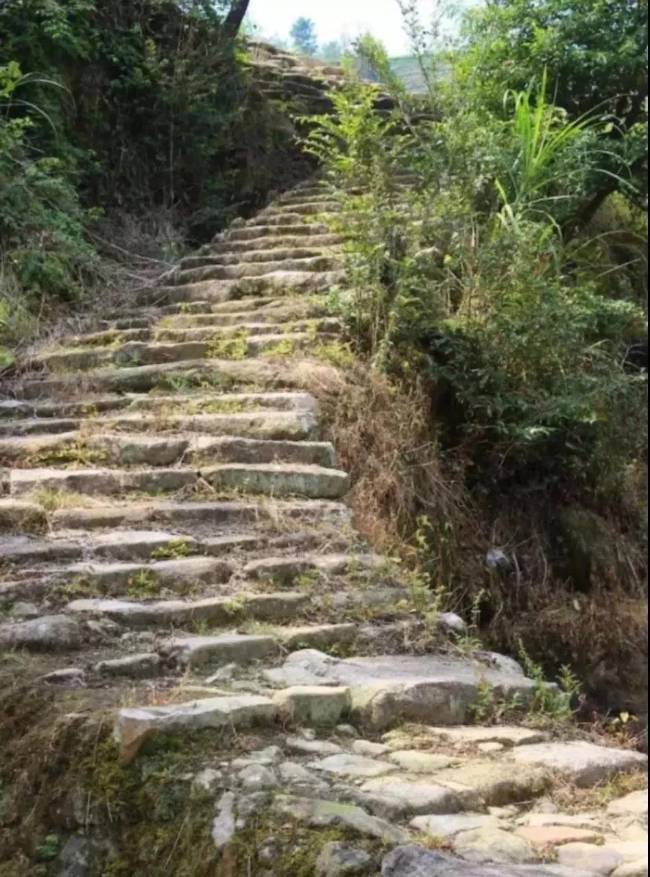 61451e024d09ad2ae7bb23680845e30b.jpg 61451e024d09ad2ae7bb23680845e30b.jpg