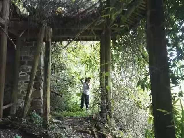 92932a813f4579b5424c1b3f1b8c549b.jpg 92932a813f4579b5424c1b3f1b8c549b.jpg