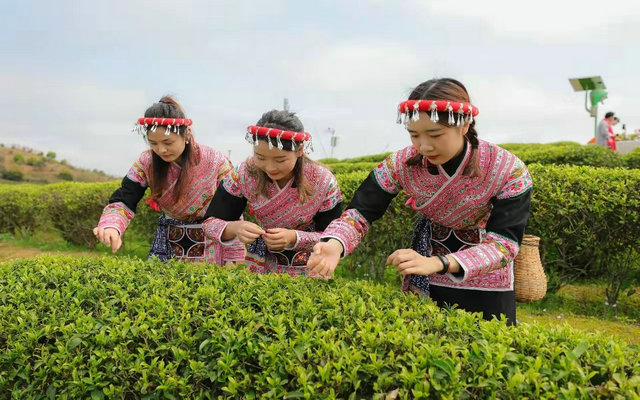 b499a817fdf60b0d91252c57feb3657e.jpg b499a817fdf60b0d91252c57feb3657e.jpg