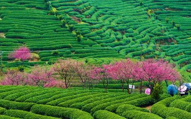 de3b97aa8afe557eed0374214e9549c1.jpg de3b97aa8afe557eed0374214e9549c1.jpg