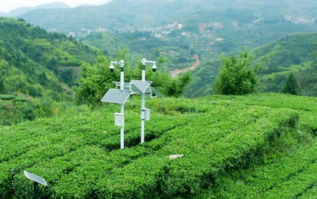 0ea5336b0764fe0c20bc8a42741c11f2.jpg 0ea5336b0764fe0c20bc8a42741c11f2.jpg