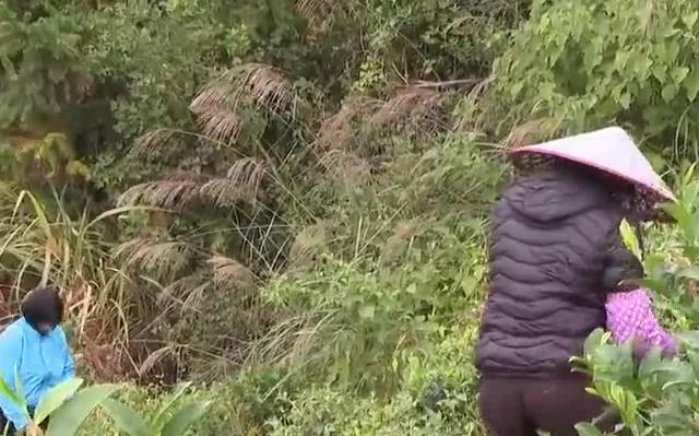 f38f4eff746c5def2a27274be2668a58.jpg f38f4eff746c5def2a27274be2668a58.jpg