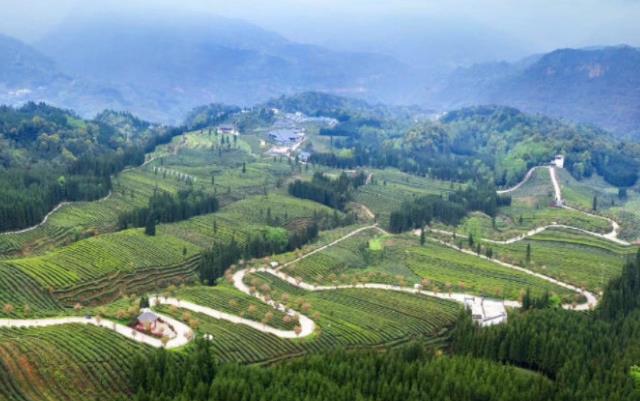 3282184e9b15562e5e23aea890efe8df.jpg 3282184e9b15562e5e23aea890efe8df.jpg