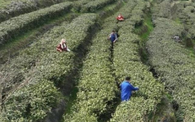 4c4e713869e081bf3d2190e9b2b7c38a.jpg 4c4e713869e081bf3d2190e9b2b7c38a.jpg