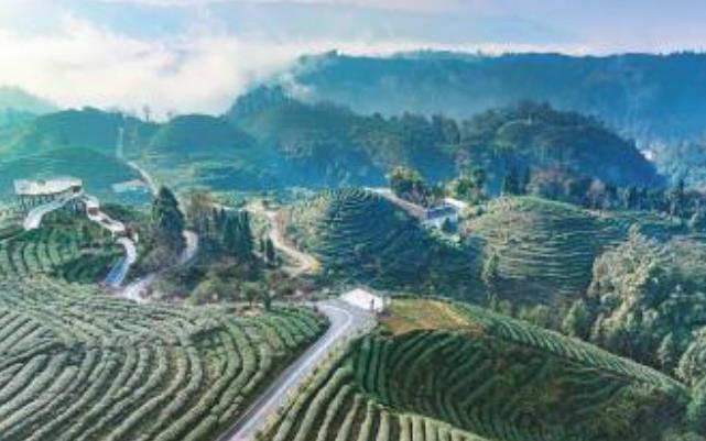 41b9280e823558af42dbbb9967e4b392.jpg 41b9280e823558af42dbbb9967e4b392.jpg