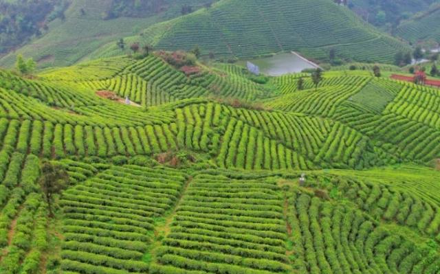 ebb2b09b34fbf32580827d3924aac61d.jpg ebb2b09b34fbf32580827d3924aac61d.jpg