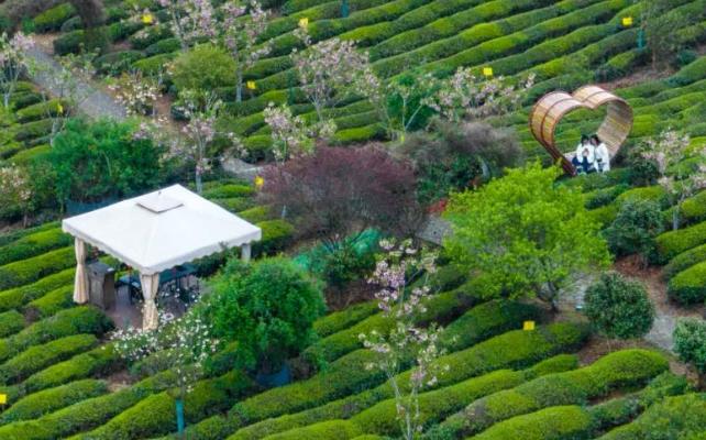 63ab03d18b7bbb7eb9a959f888c3a9a0.jpg 63ab03d18b7bbb7eb9a959f888c3a9a0.jpg