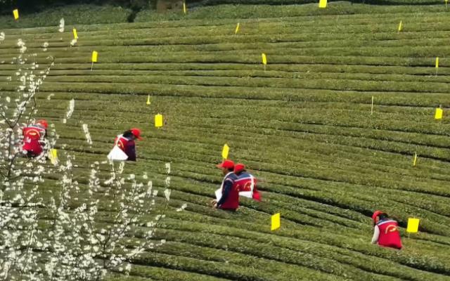 5b9884dfdb5f2c7d62d1a9e2c8fd5c3c.jpg 5b9884dfdb5f2c7d62d1a9e2c8fd5c3c.jpg