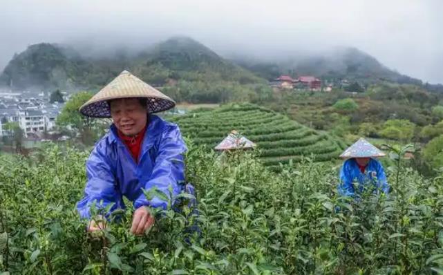 90d5963010a49fc79283ff0c5caf2acd.jpg 90d5963010a49fc79283ff0c5caf2acd.jpg