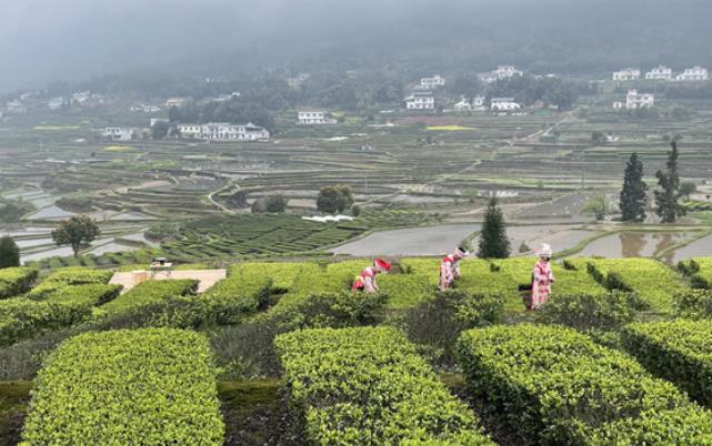 e14fe4a4b917fae9d4adb0d2e4613677.jpg e14fe4a4b917fae9d4adb0d2e4613677.jpg