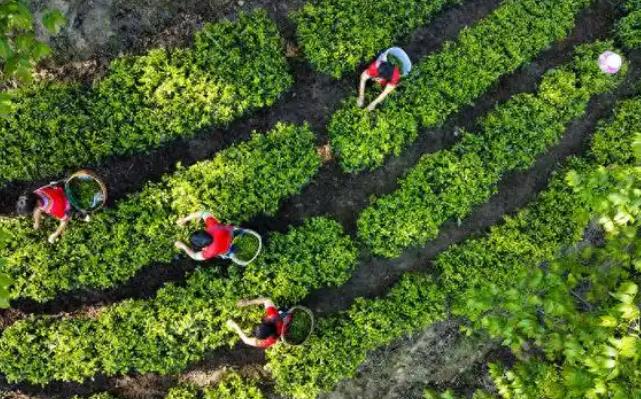 6c07fd0c5b54d15b0a6da2d0ca29301d.jpg 6c07fd0c5b54d15b0a6da2d0ca29301d.jpg