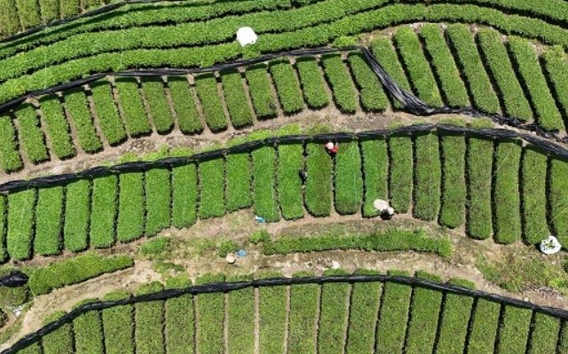 0458f687ba55b282d6c1d9212eca3a1e.jpg 0458f687ba55b282d6c1d9212eca3a1e.jpg