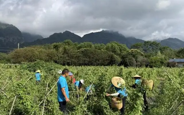 d428019df40ad07bf80a0b4a28682dd3.jpg d428019df40ad07bf80a0b4a28682dd3.jpg