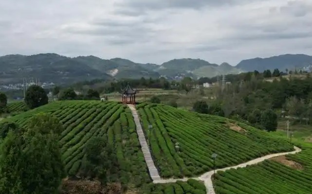 5c00f9f7b7c1bd915240624ae099bde4.jpg 5c00f9f7b7c1bd915240624ae099bde4.jpg