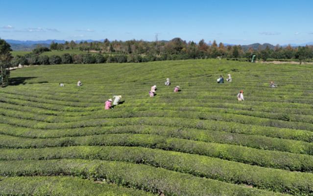 44ebd828bd833cb1dabcb7935961c0d5.jpg 44ebd828bd833cb1dabcb7935961c0d5.jpg